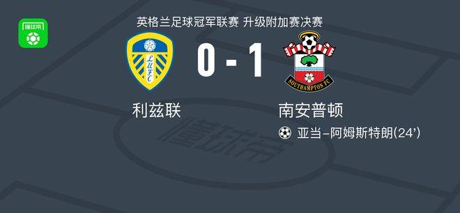 168体育网：南安普顿1-0利兹联重返英超，亚当-阿姆斯特朗一剑封喉